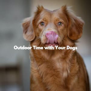 Outdoor Time with Your Dogs - Música Suave para Cafe