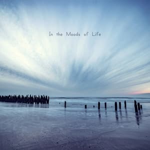 In the Moods of Life - Elevator Music