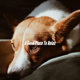 A Good Place To Relax - Chill Cafe Music