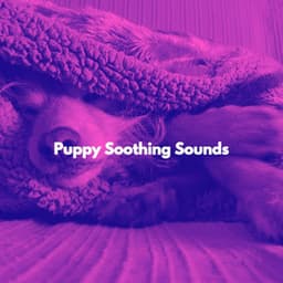 Puppy Soothing Sounds - Office Background Music Playlists