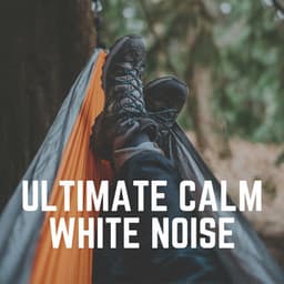 Ultimate Calm White Noise - Crying & Colic Relief