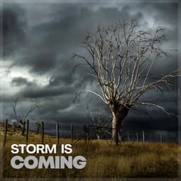 Storm Is Coming - Heavy Rain Sounds
