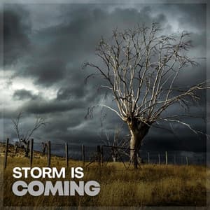 Storm Is Coming - Heavy Rain Sounds