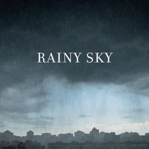 Rainy Sky: Relaxing Rain Sounds for Sleep Trouble, Calm Down Emotions, Deep Meditation for Relaxation - Calming Water Consort