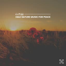 Hale Nature Music for Peace - Florida Nature