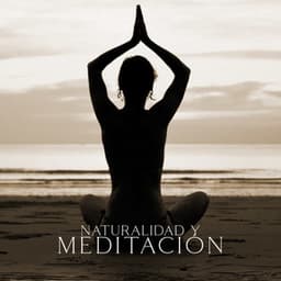Naturalidad y Quietud mental - Sean Evenett