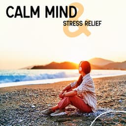 Calm Mind & Stress Relief - John Pure