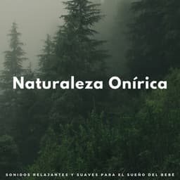 Naturaleza Onírica: Sonidos Relajantes Y Suaves Para El Sueño Del Bebé - Ambiente de naturaleza