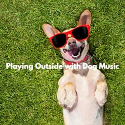 Playing Outside with Dog Music - Elegante Música para Restaurantes