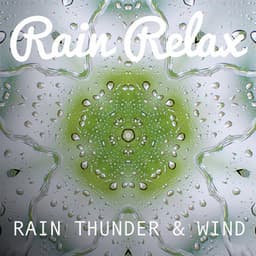 Rain, Thunder & Wind - Rain relax