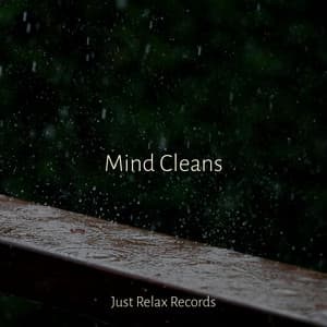 Mind Cleans - Kinderliederbande