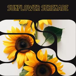 Sunflower Serenade - Floral Health - HerBaLance