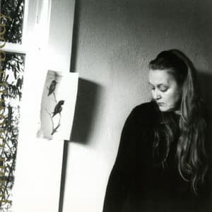 John Brown's Body - Robin Holcomb