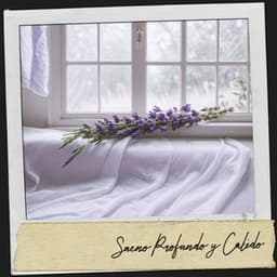 Sueño Profundo y Calido: Noches de Terciopelo - Dog Relaxation