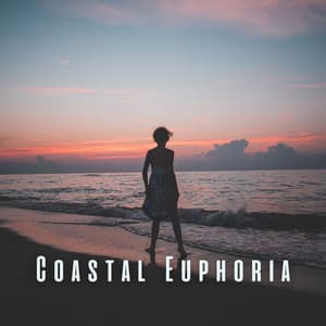 Coastal Euphoria: Calm Ocean and Chill Sounds for Pure Relaxation - Waveseekers