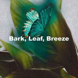 Bark, Leaf, Breeze - Epic Soundscapes