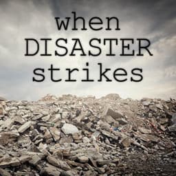 When Disaster Strikes - Gregor F. Narholz