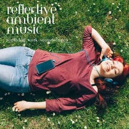 Reflective Ambient Music: Soothing Work Soundscapes - Music for Freelancers