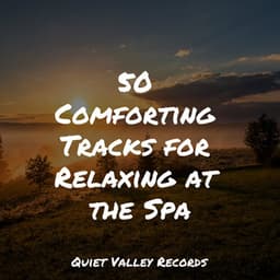 50 Comforting Tracks for Relaxing at the Spa - Tinnitus