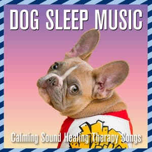 Dog Sleep Music: Calming Sound Healing Therapy Songs - Dog Music Dreams