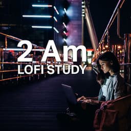 2 Am Lofi Study - Lo-fi Chill Zone