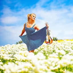 Violin and Harp Reverie - Violin Collective