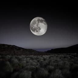 Susurros De La Noche: Sonidos Reconfortantes Para Dormir - Dhyana Uno