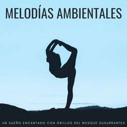 Melodías Ambientales: Un Sueño Encantado Con Grillos Del Bosque Susurrantes - Grillos Cantantes