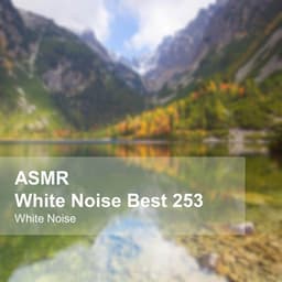 White Noise ASMR Best 253 - White Noise