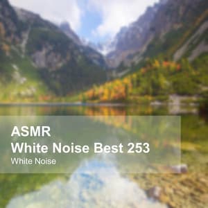 White Noise ASMR Best 253 - White Noise