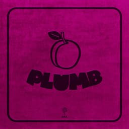 Plumb - David Murray