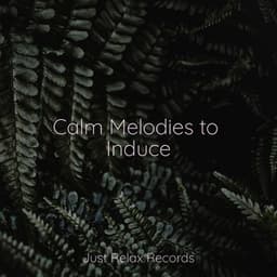 Calm Melodies to Induce - Música Zen Relaxante