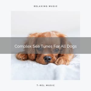 Complex Sea Tunes For All Dogs - Dog Relax