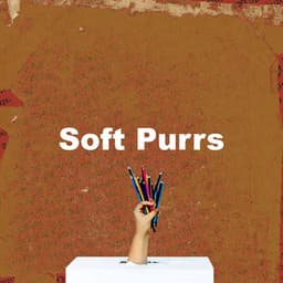 Soft Purrs - Cat Music
