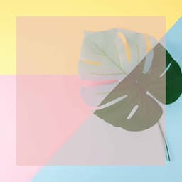 Relaxed Music for Bright Stars - Latin Music - Light Jazz Playlist