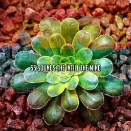 55 Sounds The Intill The Mind - Musica Para Estudiar Academy