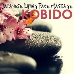 Japanese Lifting Face Massage: Kobido - Spa!