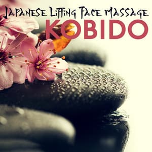 Japanese Lifting Face Massage: Kobido - Spa!