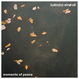 Moments of Peace - Ludovico Einaudi
