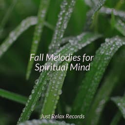 Fall Melodies for Spiritual Mind - Mantra para Meditar