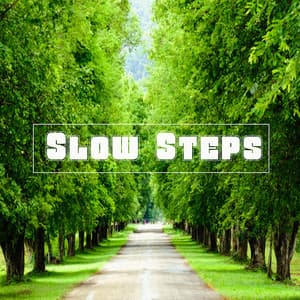 Slow steps - Beats De Rap