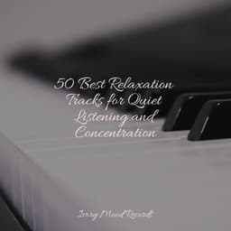 50 Best Relaxation Tracks for Quiet Listening and Concentration - Meditación