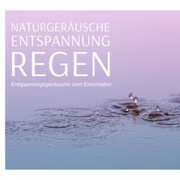 Naturgeräusche Entspannung Regen: Entspannungsgeräusche zum Einschlafen - Die Entspannung Noten