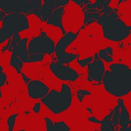 Pitched Intervention - Sissy Spacek