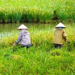 Work Raindrop Rhythms: Piano Melodies for Productive Moments - Rain is my Life