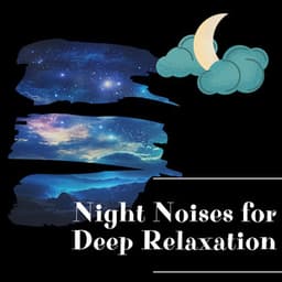 Night Noises for Deep Relaxation - Night Sounds Channel
