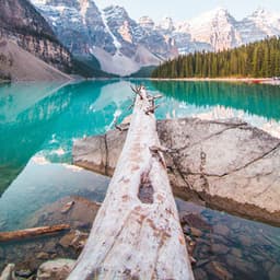 Absolute Balance - Zen Garden