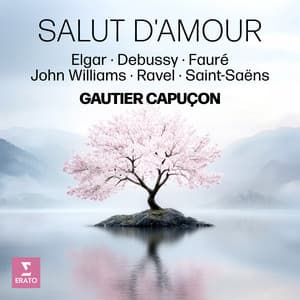 Salut d'amour - Elgar, Debussy, Fauré, John Williams, Ravel, Saint Saëns - Gautier Capuçon