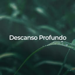 Descanso Profundo: Sonidos Calmantes de la Naturaleza - Lluvia PQ