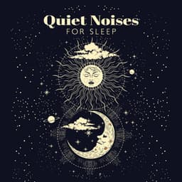 Quiet Noises for Sleep: Heal while Sleeping with Soothing and Quiet Music, Fall Asleep Easily and Cure Your Insomnia - Sleeping Music Zone